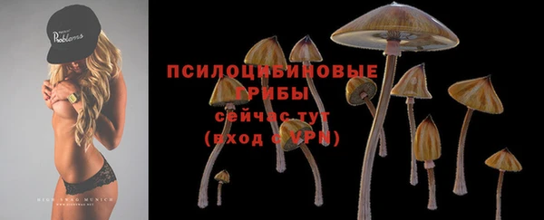 MESCALINE Каменка