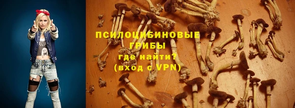 Альфа ПВП Каменногорск