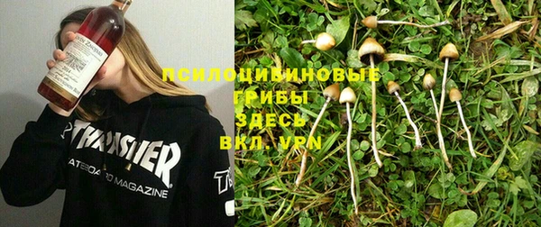 MESCALINE Каменка