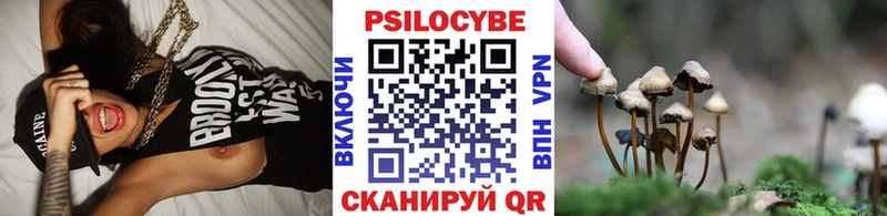 Псилоцибиновые грибы мицелий  Купить  Гусев 