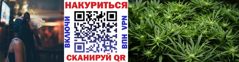 Купить закладки  Гусев  Марихуана сатива 